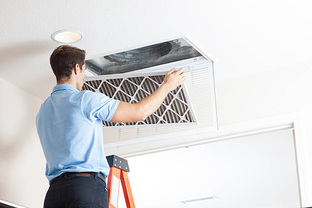 Best Air Filters and Purifiers in Pacific, MO